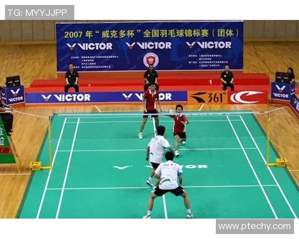 深圳羽毛球队总决赛技术分析与表现评估全景解读 深圳羽毛球队总决赛技术分析与表现评估全景解读