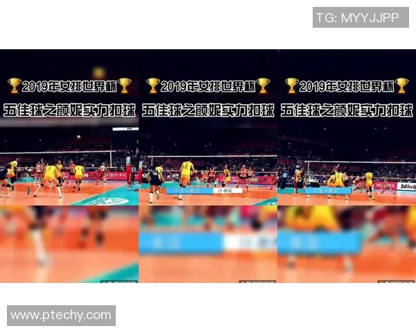 广州排球队战术表现深度分析与数据解读探讨