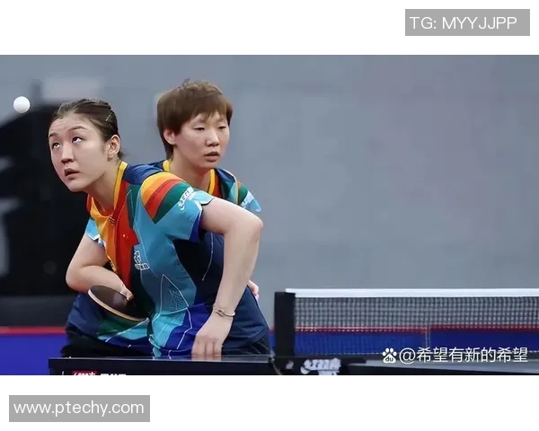 杭州乒乓球队的节奏与韧性探索：从训练到比赛的全景分析